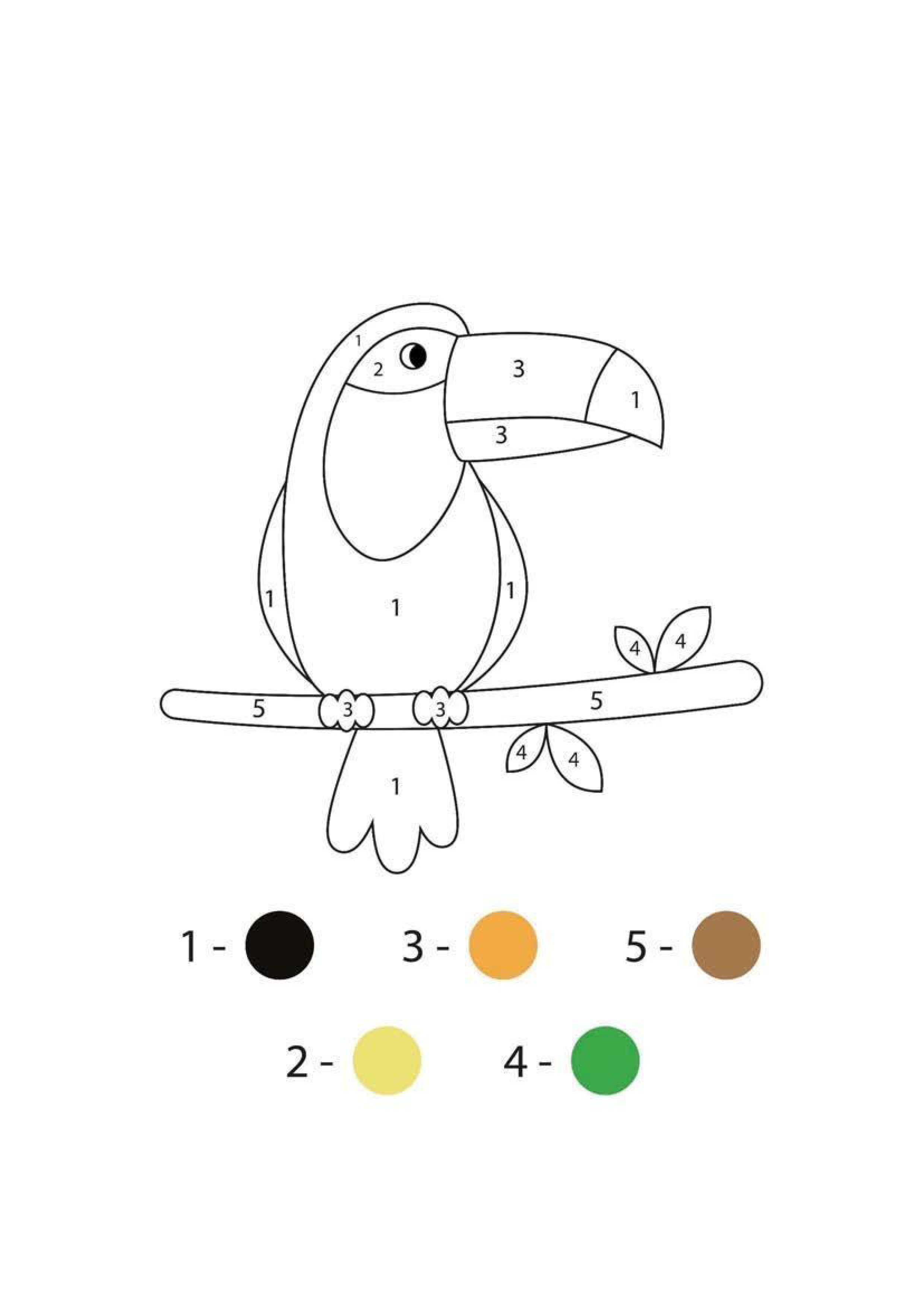 Parrots Collection