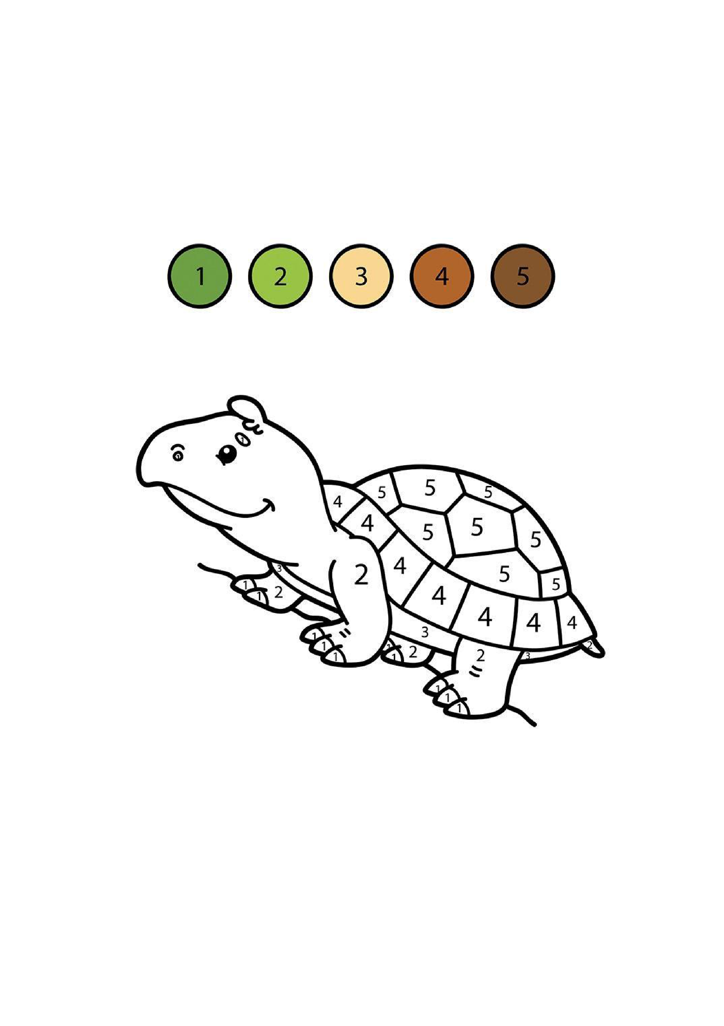 Turtle Coloring Page