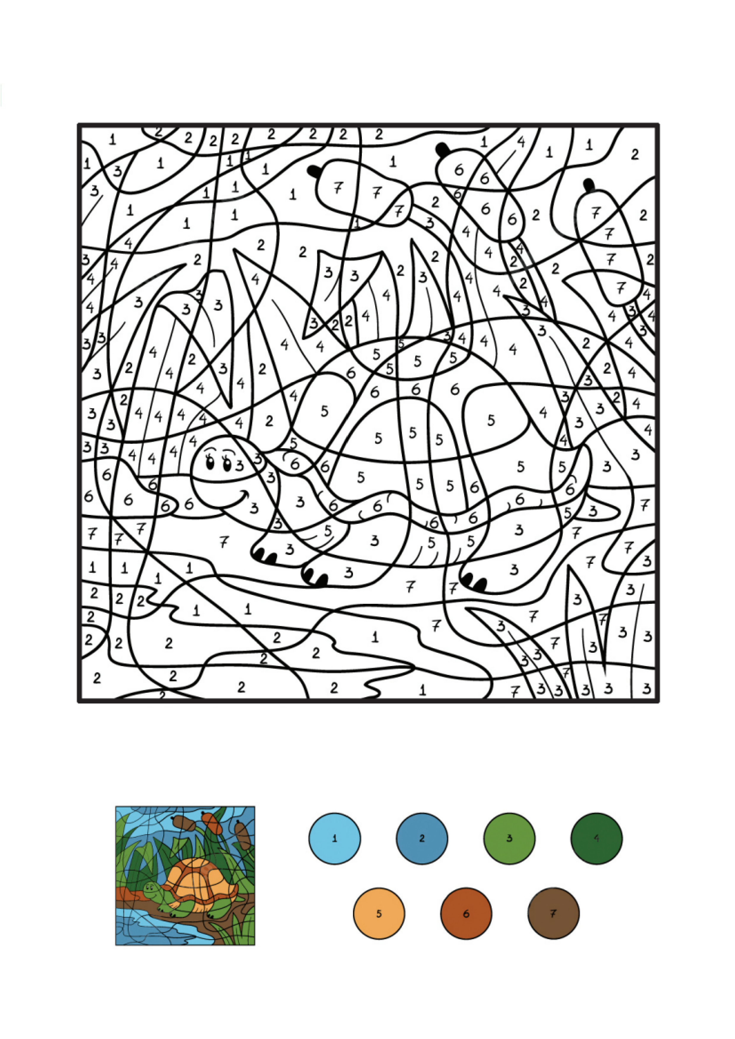 Turtle 4 Coloring Page